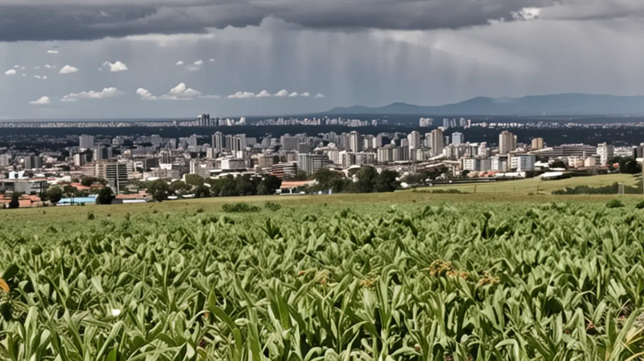 Previsión climática para Tucumán este miércoles 29 de enero de 2025: cómo será el tiempo. Foto: Redacción InfoArticulos