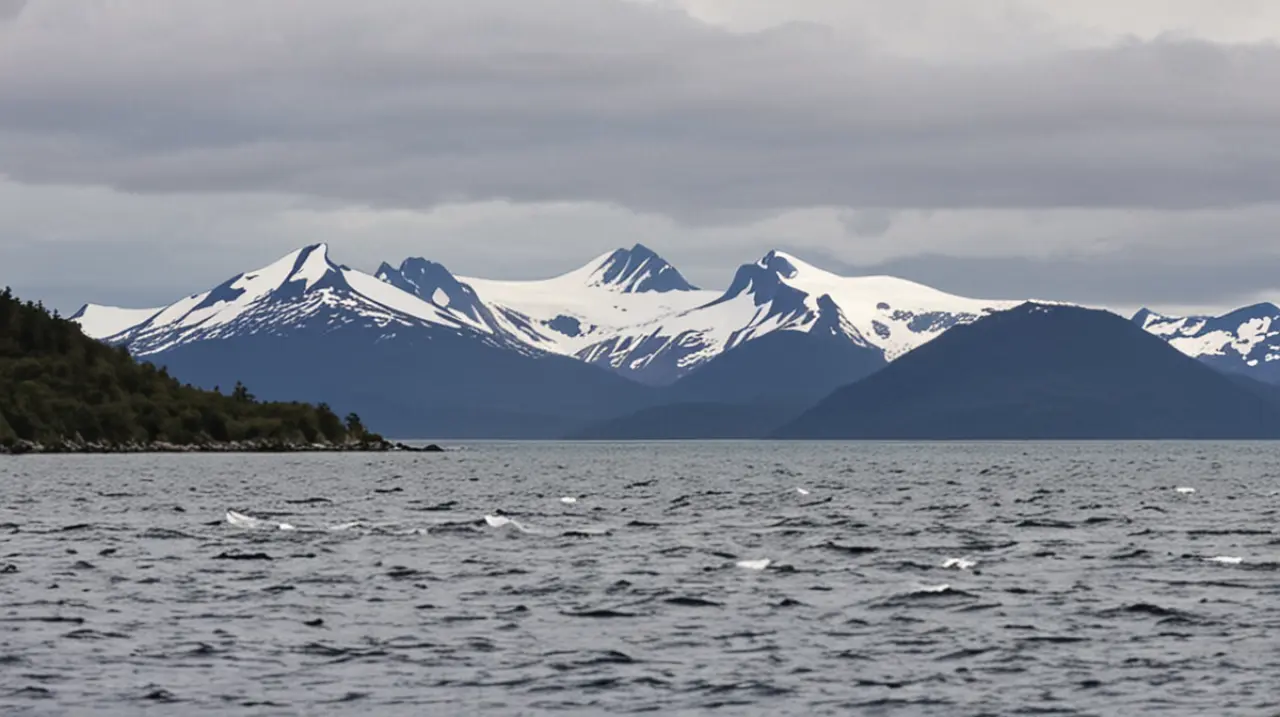 Previsión meteorológica para Tierra del Fuego hoy: cómo estará el clima este jueves 30 de enero de 2025. Foto: Redacción InfoArticulos