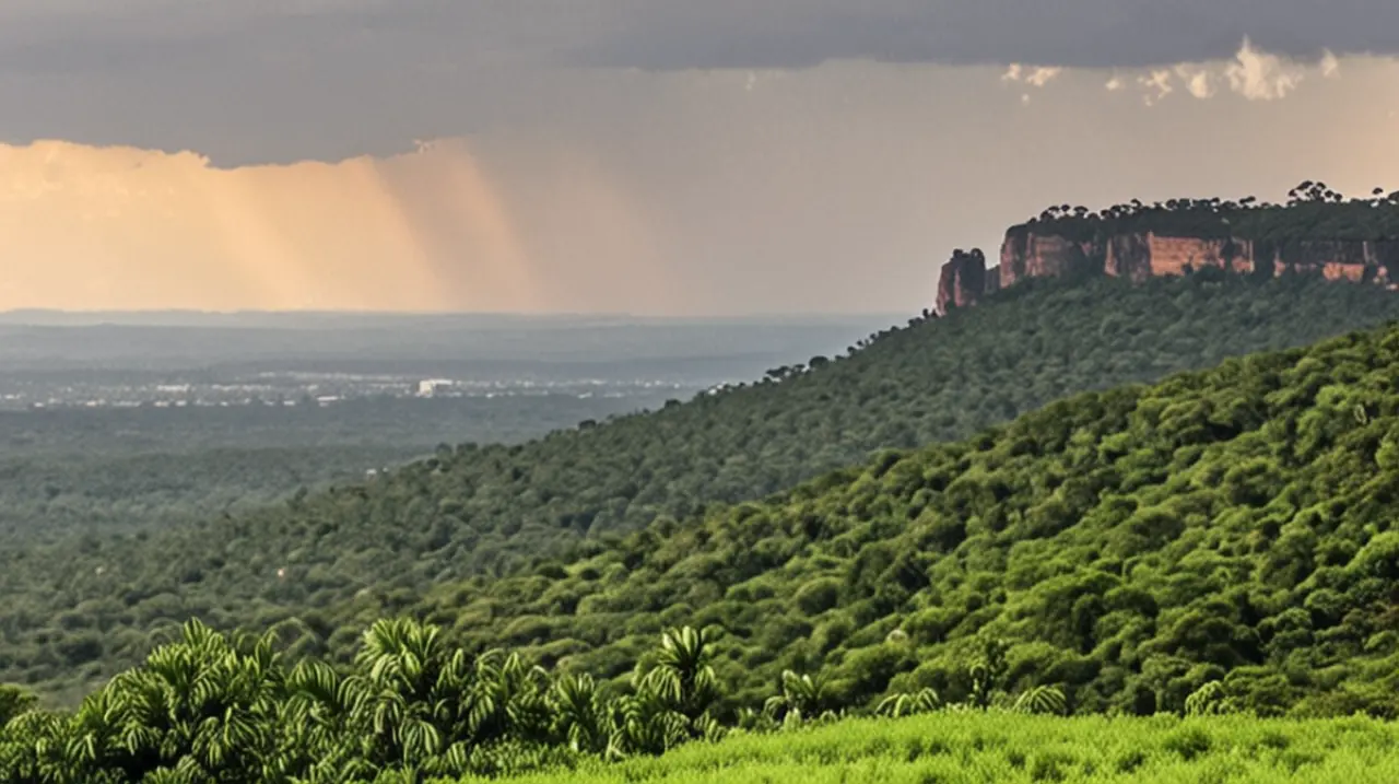 Misiones enfrentará un día con condiciones climáticas específicas este martes 11 de marzo de 2025.. Foto: Redacción InfoArticulos
