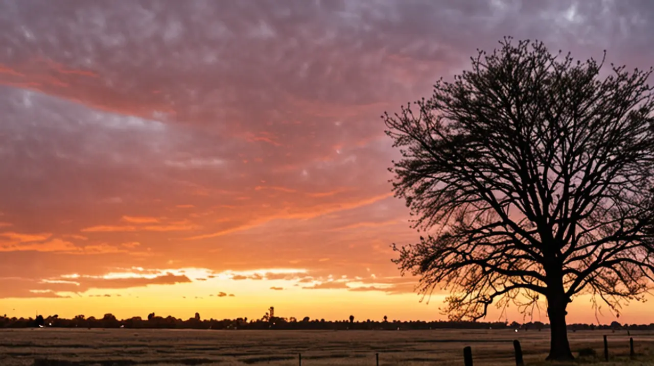 Pronóstico del tiempo en Rosario para mañana: ¿cómo será el clima el 15 de abril de 2025?. Foto: Redacción InfoArticulos