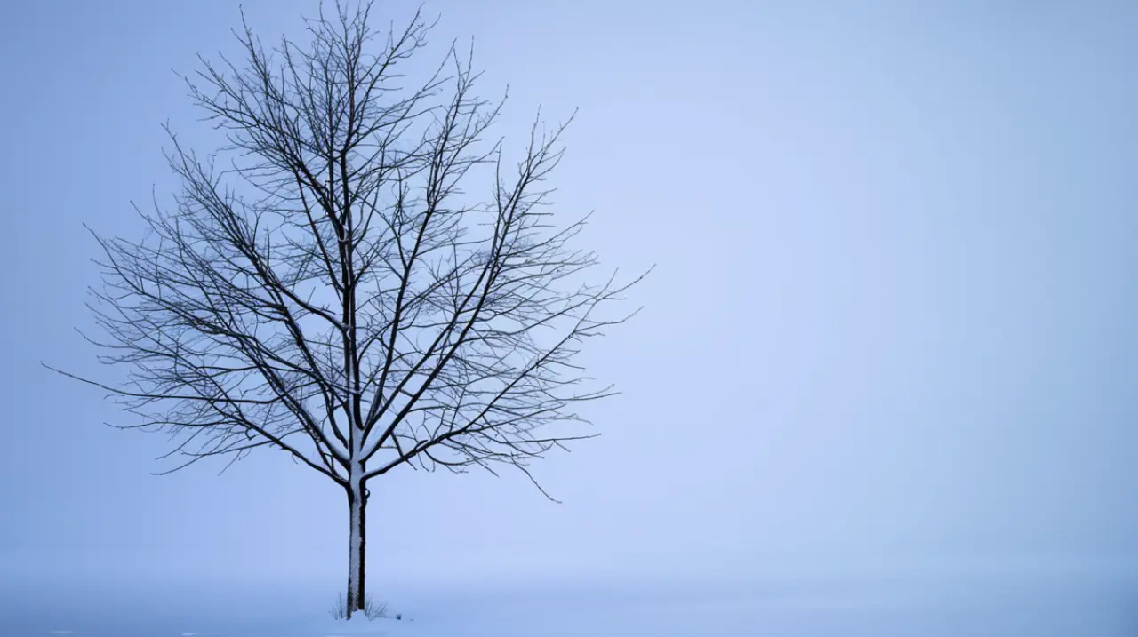 Pronóstico del clima en San Martín de los Andes para mañana: ¿qué se espera para el 26 de abril de 2025?. Foto: Redacción InfoArticulos