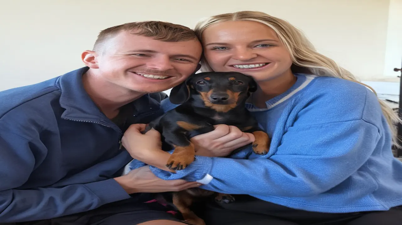 Un perro salchicha ha sido encontrado después de estar separado de su dueño durante 18 meses en una isla australiana.. Foto: Redacción InfoArticulos