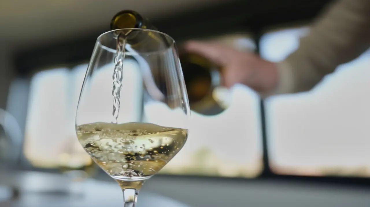 El punto óptimo para disfrutar de diferentes tipos de vinos y cómo lograrlo. Foto: Redacción InfoArticulos
