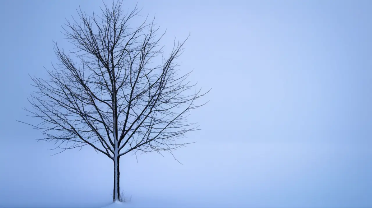 Pronóstico del clima en San Martín de los Andes para mañana: ¿qué se espera para el 8 de mayo de 2025?. Foto: Redacción InfoArticulos