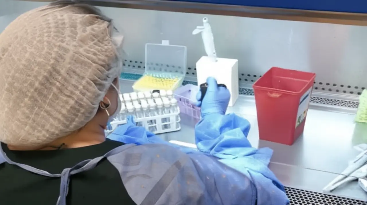La vida con Covid es como un cable sustraído: sin fin ni esperanza, una realidad que sigue siendo un misterio para la ciencia médica.. Foto: Redacción InfoArticulos