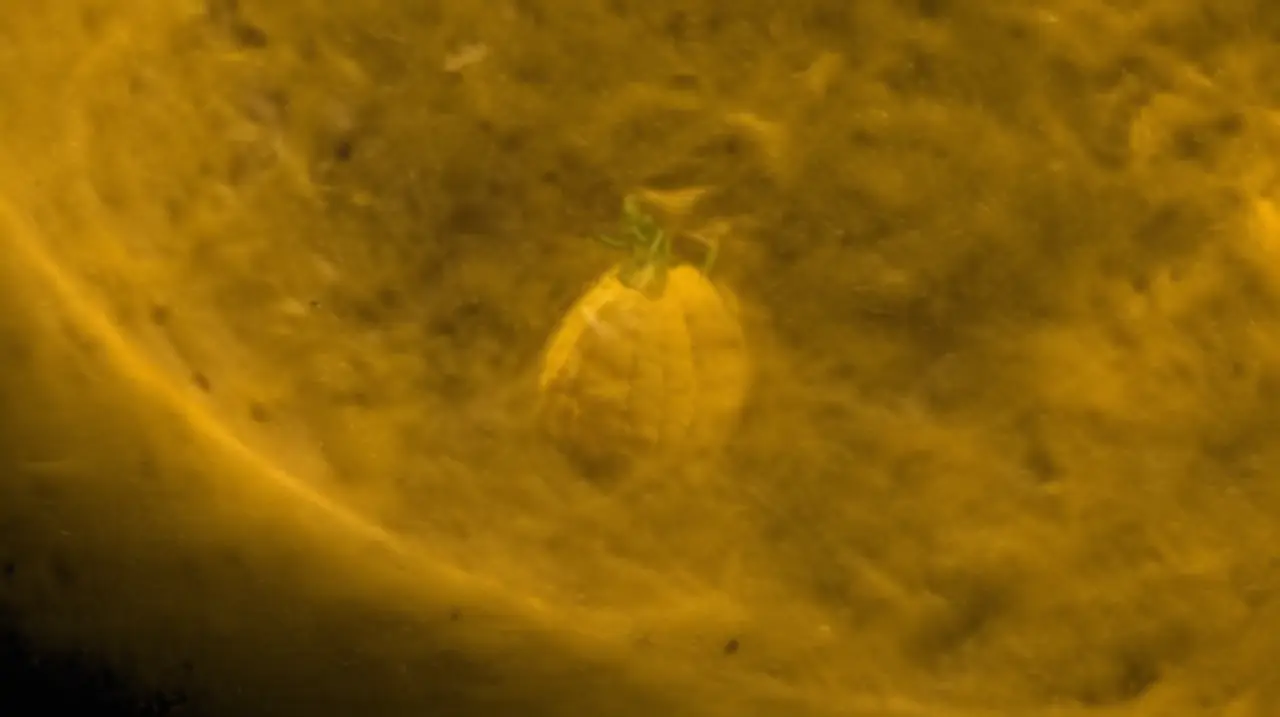 La gran mancha solar causa inquietud entre los expertos en astronomía: ¿cómo podría impactar el planeta?. Foto: Redacción InfoArticulos