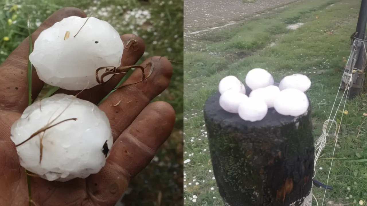El impacto fue devastador: granizadas gigantes destruyen cultivos en dos pueblos de la provincia de Buenos Aires.. Foto: Redacción InfoArticulos