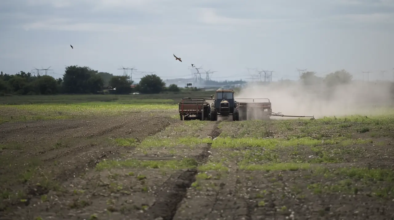 La oportunidad perfecta en el mercado: se han alcanzado los US$124,2 millones con una empresa líder que sigue expandiéndose sin cesar.. Foto: Redacción InfoArticulos