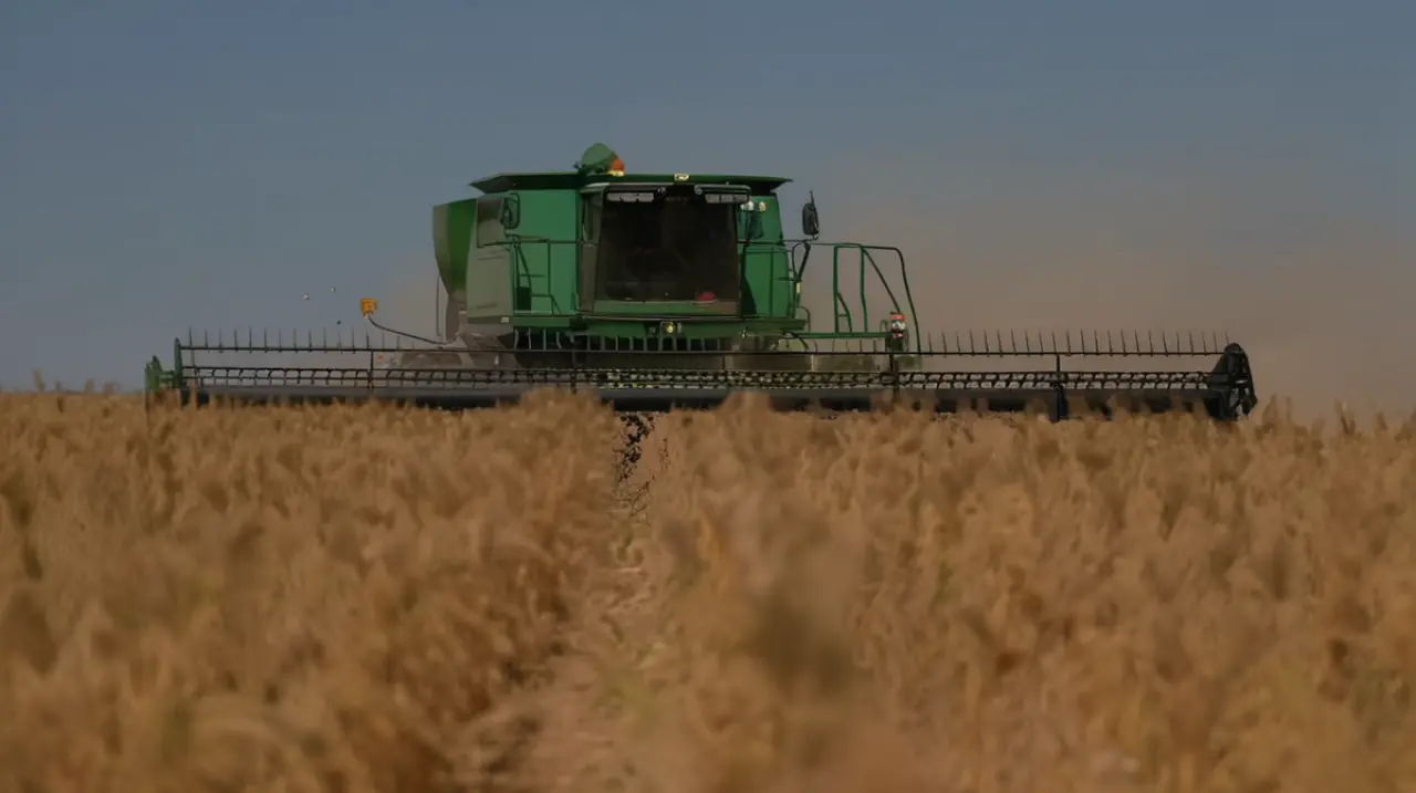 Año difícil en el horizonte: expertos advierten a los agricultores sobre las medidas necesarias para evitar pérdidas en sus cosechas. Foto: Redacción InfoArticulos