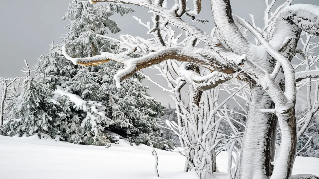 Bariloche enfrentará un día nublado con posibles lluvias, según el pronóstico del tiempo para este jueves 14 de mayo de 2025.. Foto: Redacción InfoArticulos