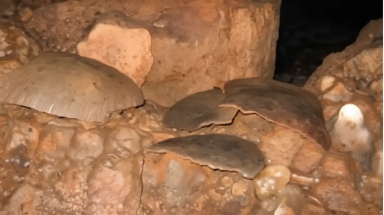 La Cueva de Sangre es un hallazgo arqueológico que ha revelado la práctica de rituales en la cultura maya.. Foto: Redacción InfoArticulos