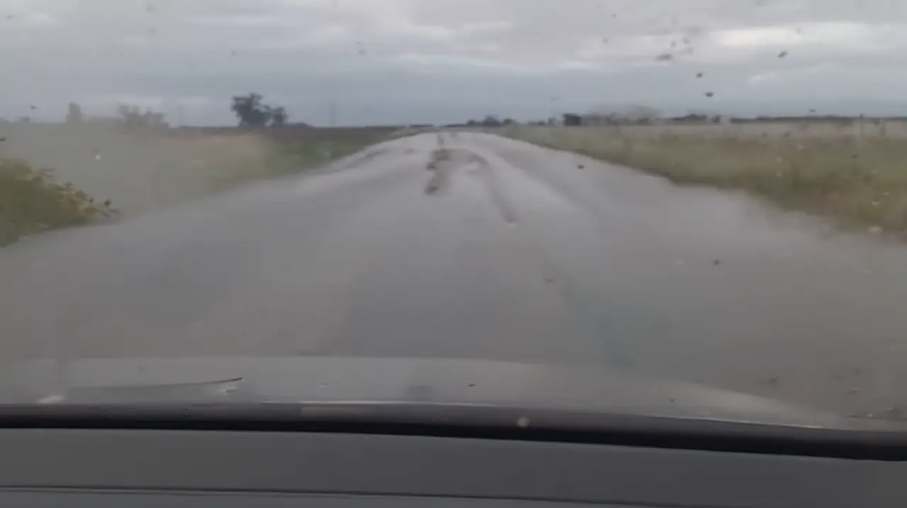 Las intensas lluvias han causado estragos en las zonas agrícolas más importantes del país, dejando campos inundados y frenando la recolección de cultivos.. Foto: Redacción InfoArticulos