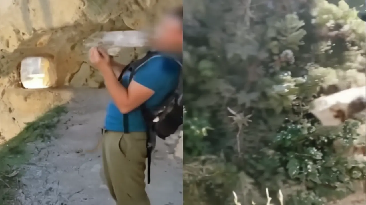 La ley castiga duramente a los que perturban la naturaleza, incluso con multas elevadas como el precio de un departamento.. Foto: Redacción InfoArticulos