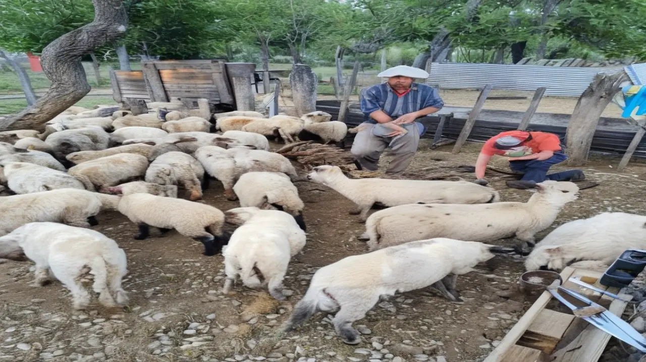 Tres localidades logran equilibrar la producción agrícola con el atractivo turístico en un valle de clima templado, ofreciendo experiencias rurales accesibles al público.. Foto: Redacción InfoArt