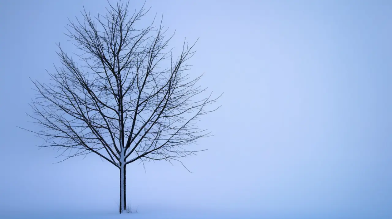 Bariloche registra un clima inestable, con probabilidad de lluvias y vientos fuertes en las próximas horas del día 23 de mayo de 2025.. Foto: Redacción InfoArticulos