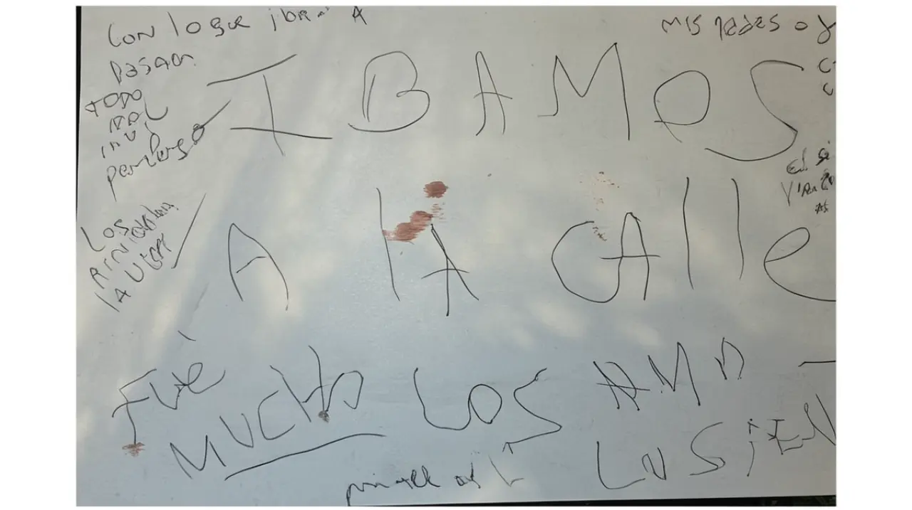 La madre de los menores habría dejado de tomar su tratamiento médico dos meses antes del trágico evento en el barrio de Villa Crespo.. Foto: Redacción InfoArticulos