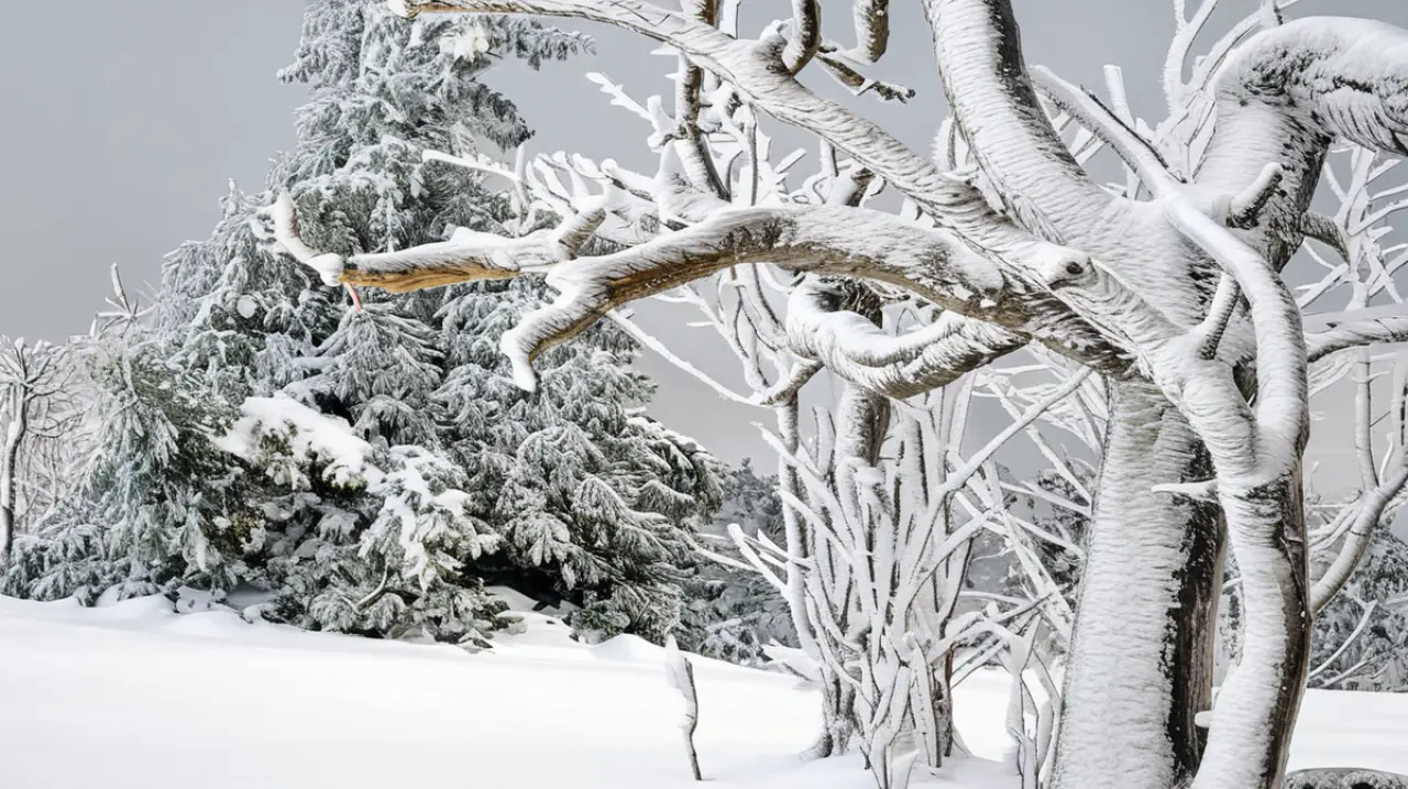 Pronóstico del tiempo en San Martín de los Andes para mañana: ¿cómo será el clima el 26 de mayo de 2025?. Foto: Redacción InfoArticulos