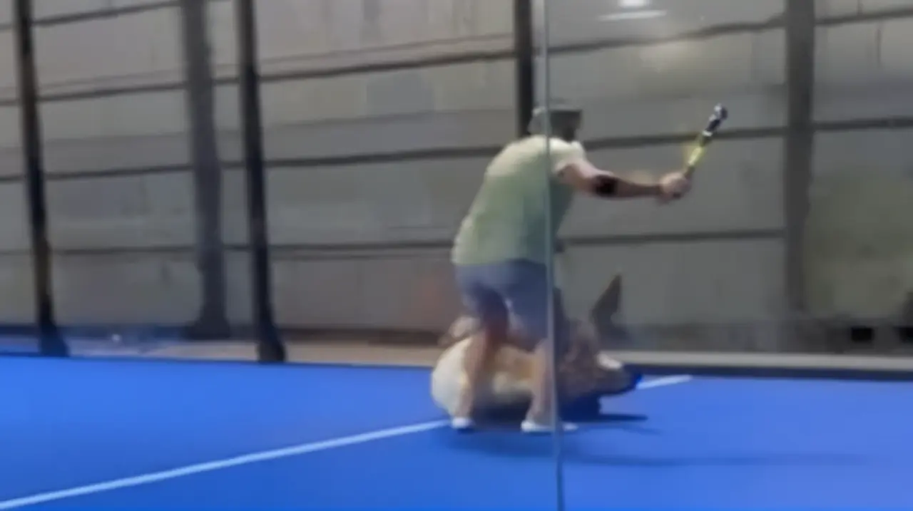 Un partido de pádel se convirtió en una pelea brutal con palos, patadas y golpes. Foto: Redacción InfoArticulos